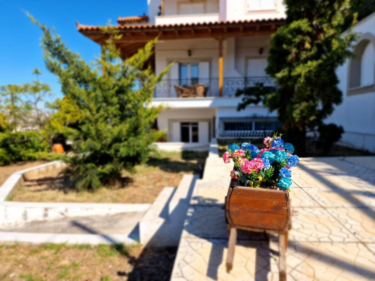 Villa Liana : Luxury Villa With Fantastic Sea View, Near Airport Porto Rafti Bagian luar foto