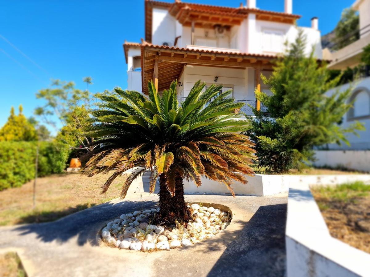 Villa Liana : Luxury Villa With Fantastic Sea View, Near Airport Porto Rafti Bagian luar foto