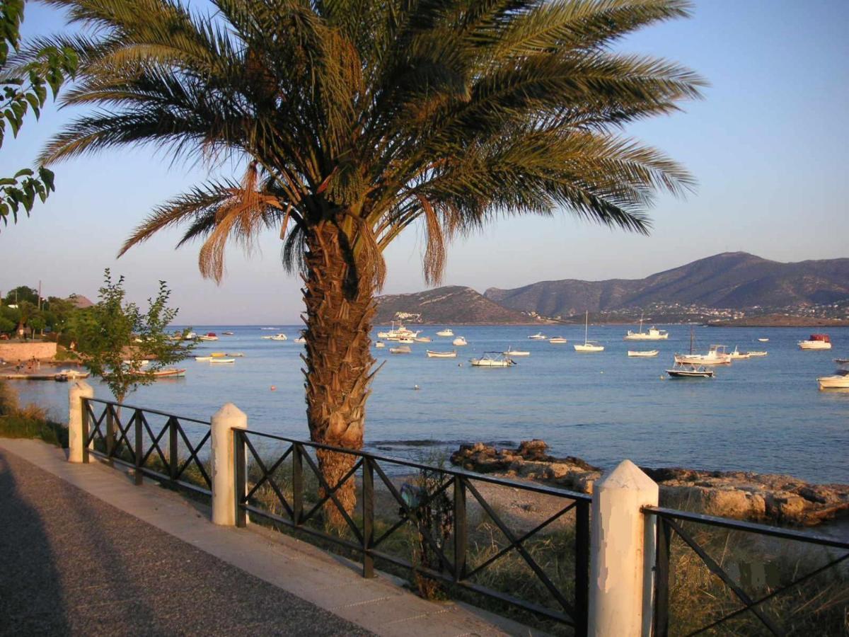 Villa Liana : Luxury Villa With Fantastic Sea View, Near Airport Porto Rafti Bagian luar foto