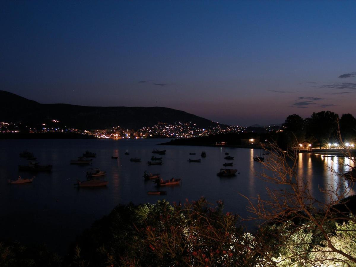 Villa Liana : Luxury Villa With Fantastic Sea View, Near Airport Porto Rafti Bagian luar foto