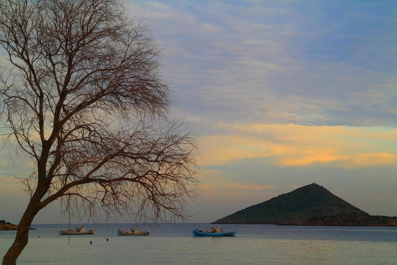 Villa Liana : Luxury Villa With Fantastic Sea View, Near Airport Porto Rafti Bagian luar foto